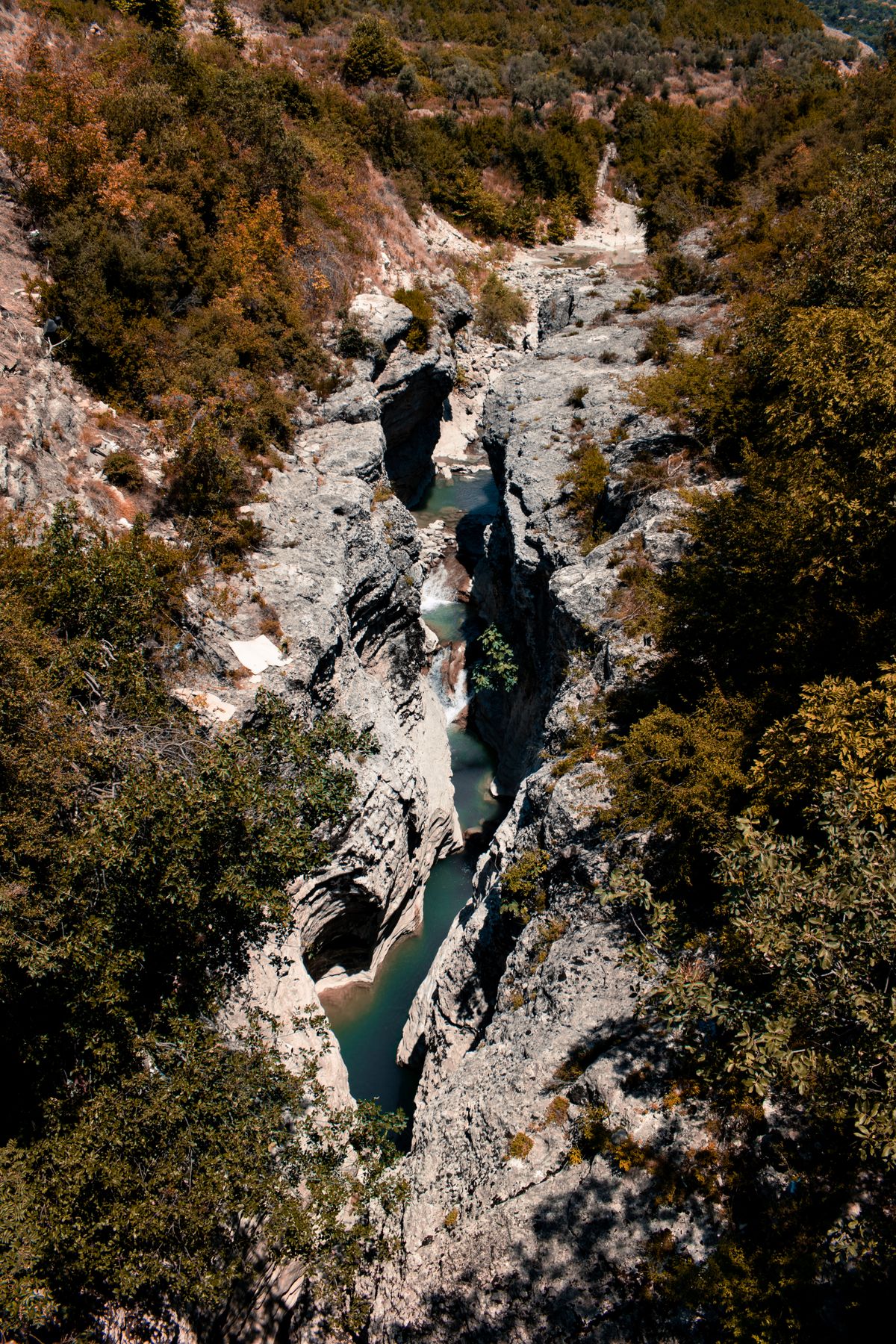 The Osumi Canyon and the Vjosa River compared for rafting in Albania